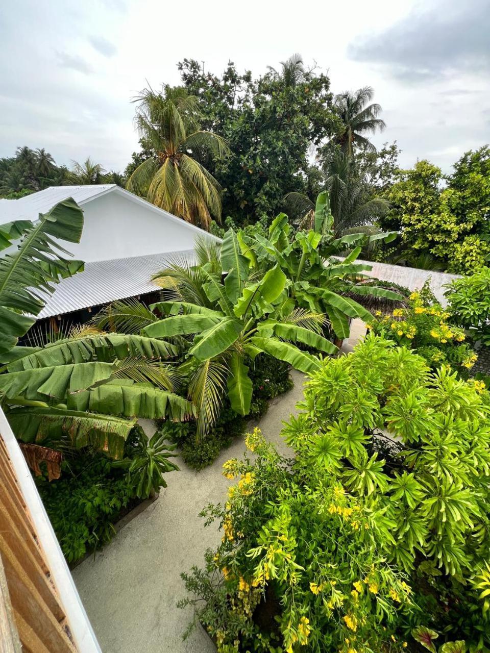 Hotel Seaside Dhigurah Dhigurah  Exterior foto